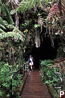 Trail into Thurston Lava Tube
