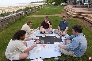 Playing Order Of The Stick On The Grass