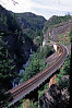 Bridge by Cheakamus Canyon