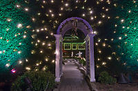 Gate Through Hedge