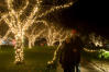 John And Helen With Lit Trees