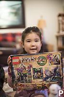 Nara With Lego Set