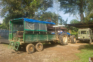 Tractor And Trailer For Rara Avis