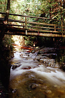 Bridge Over River