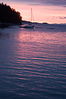 Pink Waves With Sailboat