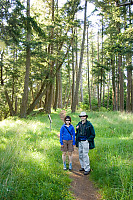 Field In Trees