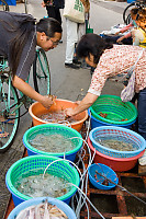 Baskets Of Seafood