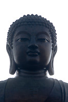 Buddha Head