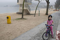 Sandy Foggy Beach