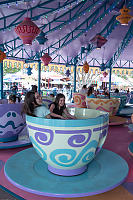 Mad Hatter Tea Cups Spinning