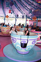 Starting Mad Hatter Tea Cups