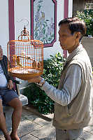 Man With Bird Cage