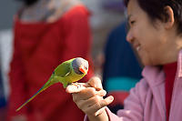 Bird And Her Owner