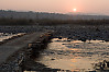 Bridge At Sunset