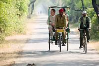 Guide And Tourists In Park