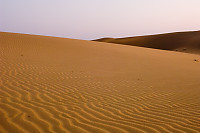 Sand Dunes In Sunset