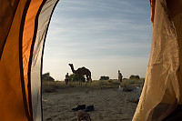 Tent In The Morning