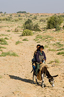Two Boys On Donkey