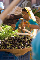 Picking Vegetables