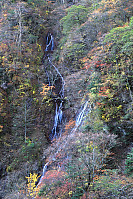 Falls In Coloured Trees