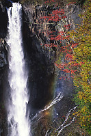 Falls With Trees
