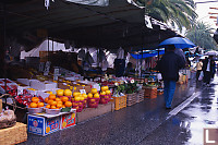 Market With Palm Trees