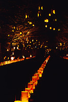 Lanterns Lining Street