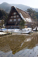 Home Reflected In Cut Rice Field