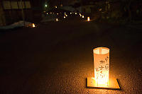 Road Lined With Lanterns