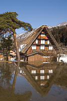 Tree And Home On Pond