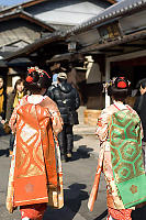 Orange And Blue Walking