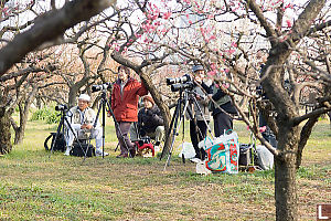 Photogroup Taking Lesson