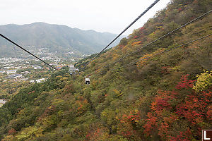 Patch Of Orange And Red