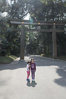 Torii To Meiji Shrine