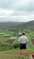 Mark Looking over Hanalei Valley