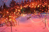 Red Arch Over Snow