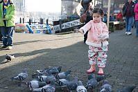 Nara Releasing Grain Onto Pigeons