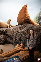 Claira With Sea Lions