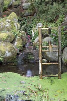 Boar Scar Water Feature