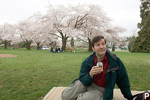 Mark Drinking Under Sakura