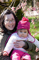 Nara Helen And Cherry Blossoms