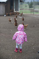 Claira And The Chickens
