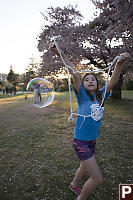 Nara In Bubble Window