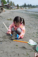 Nara Filling Crab Mold