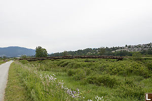 Bridge Over Coquitlam River