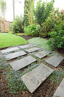 Blue Flowers Between Natural Stones