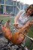 Injecting Baste