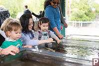 Nara And Helen Touching Tidepool Animals