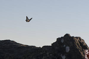 Flying Over Rocks