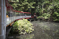 Stanely Park Train Over Pond